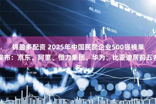 锦盈多配资 2025年中国民营企业500强榜单发布：京东、阿里、恒力集团、华为、比亚迪居前五名