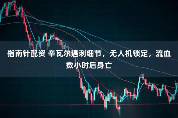 指南针配资 辛瓦尔遇刺细节，无人机锁定，流血数小时后身亡