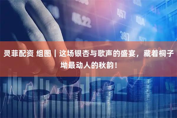 灵菲配资 组图｜这场银杏与歌声的盛宴，藏着桐子坳最动人的秋韵！