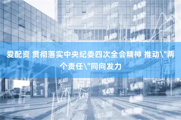 爱配资 贯彻落实中央纪委四次全会精神 推动